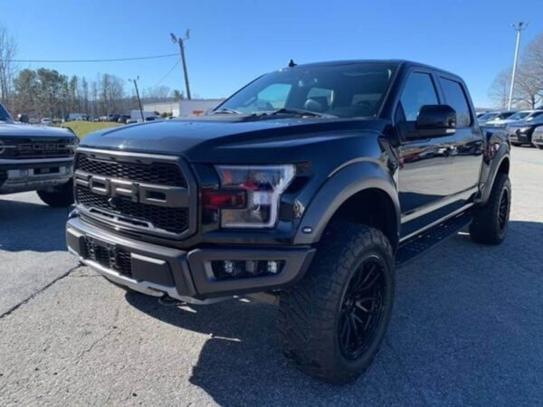 2019 Ford F-150 Raptor 4dr SuperCrew - Image 2