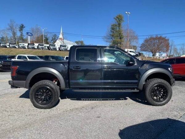 2019 Ford F-150 Raptor 4dr SuperCrew - Image 8