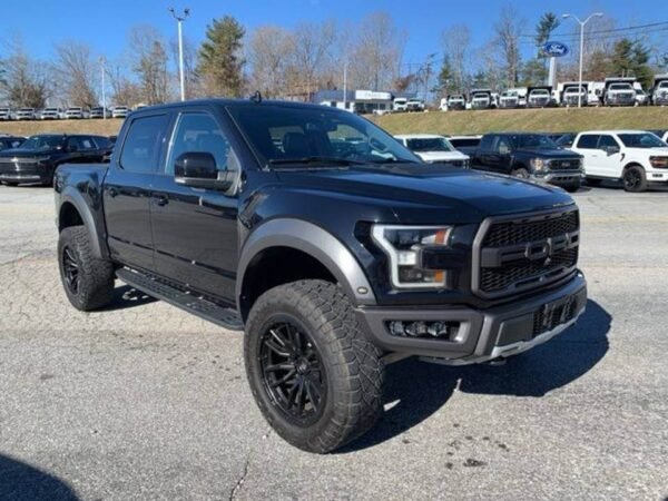 2019 Ford F-150 Raptor 4dr SuperCrew - Image 9